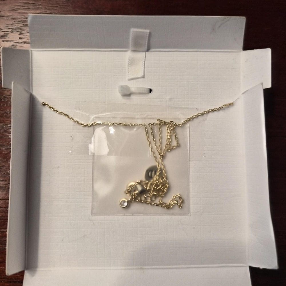 Brand New Rae Dunn Matching 14KT Gold Plated Bone Necklace & Dog Tag Pet Mom - Picture 2 of 3